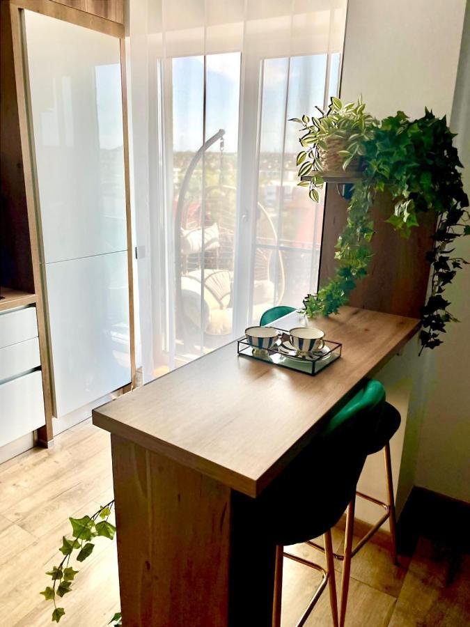 Jacuzzi Apartment Baia Mare Exteriör bild